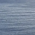 Duplex Vue Exceptionnelle En Corse Du Sud Proche - Le 180corse * Conca