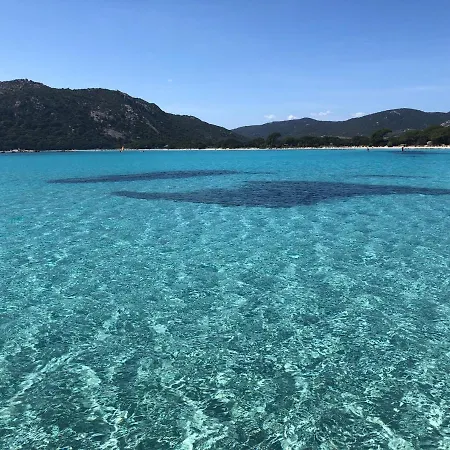 Apartment Duplex Vue Exceptionnelle En Corse Du Sud Proche - Le 180corse *