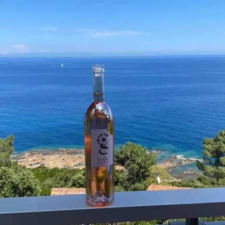 Duplex Vue Exceptionnelle En Corse Du Sud Proche - Le 180corse *