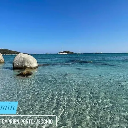 Apartment Duplex Vue Exceptionnelle En Corse Du Sud Proche - Le 180corse