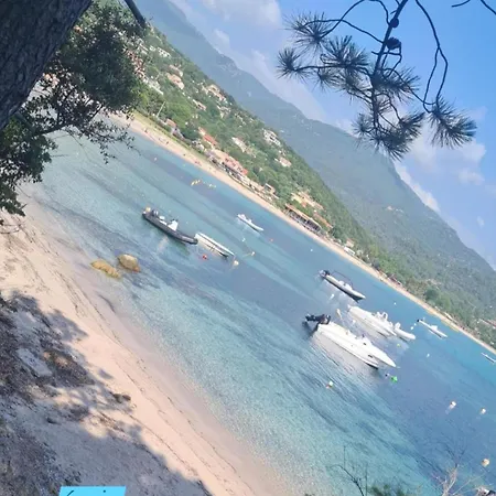 Duplex Vue Exceptionnelle En Corse Du Sud Proche - Le 180corse 아파트