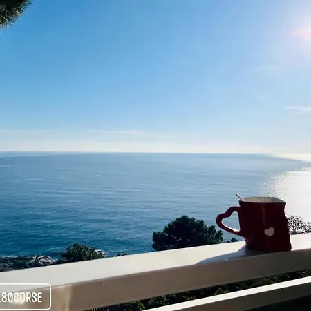 Duplex Vue Exceptionnelle En Corse Du Sud Proche - Le 180corse 콩카