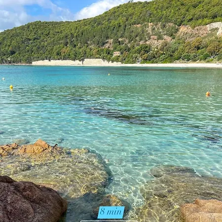 Lägenhet Duplex Vue Exceptionnelle En Corse Du Sud Proche - Le 180corse Conca