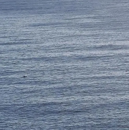 Duplex Vue Exceptionnelle En Corse Du Sud Proche - Le 180corse * Conca