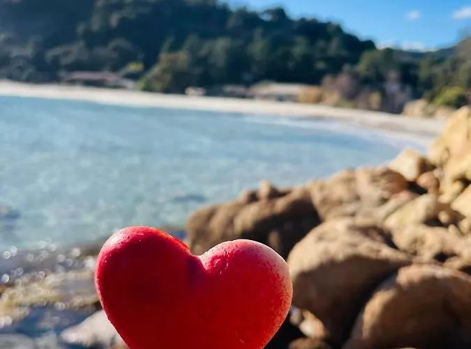 Duplex Vue Exceptionnelle En Corse Du Sud Proche - Le 180corse Apartmán Conca