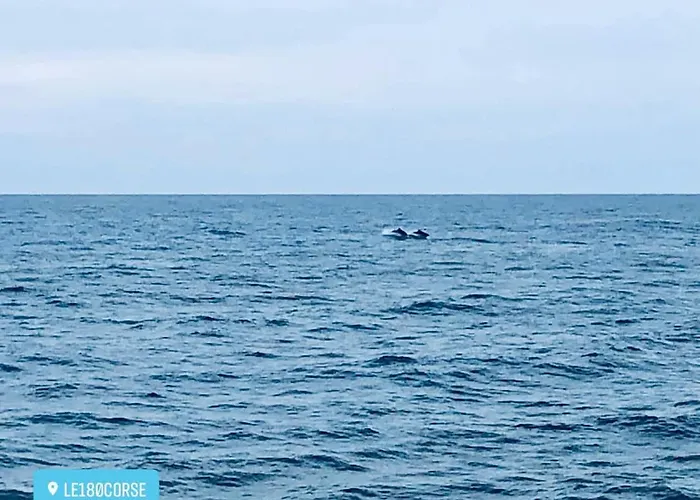 Duplex Vue Exceptionnelle En Corse Du Sud Proche - Le 180corse * Conca